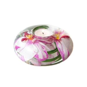 Pink/White Phalaenopsis T-Light Medium