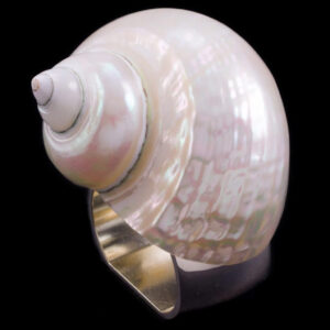 Isabella Adams Large Pearl Turbo Shell Napkin Ring