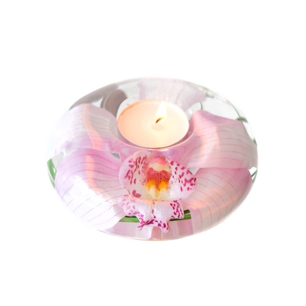 Pink Cymbidium T-Light Medium