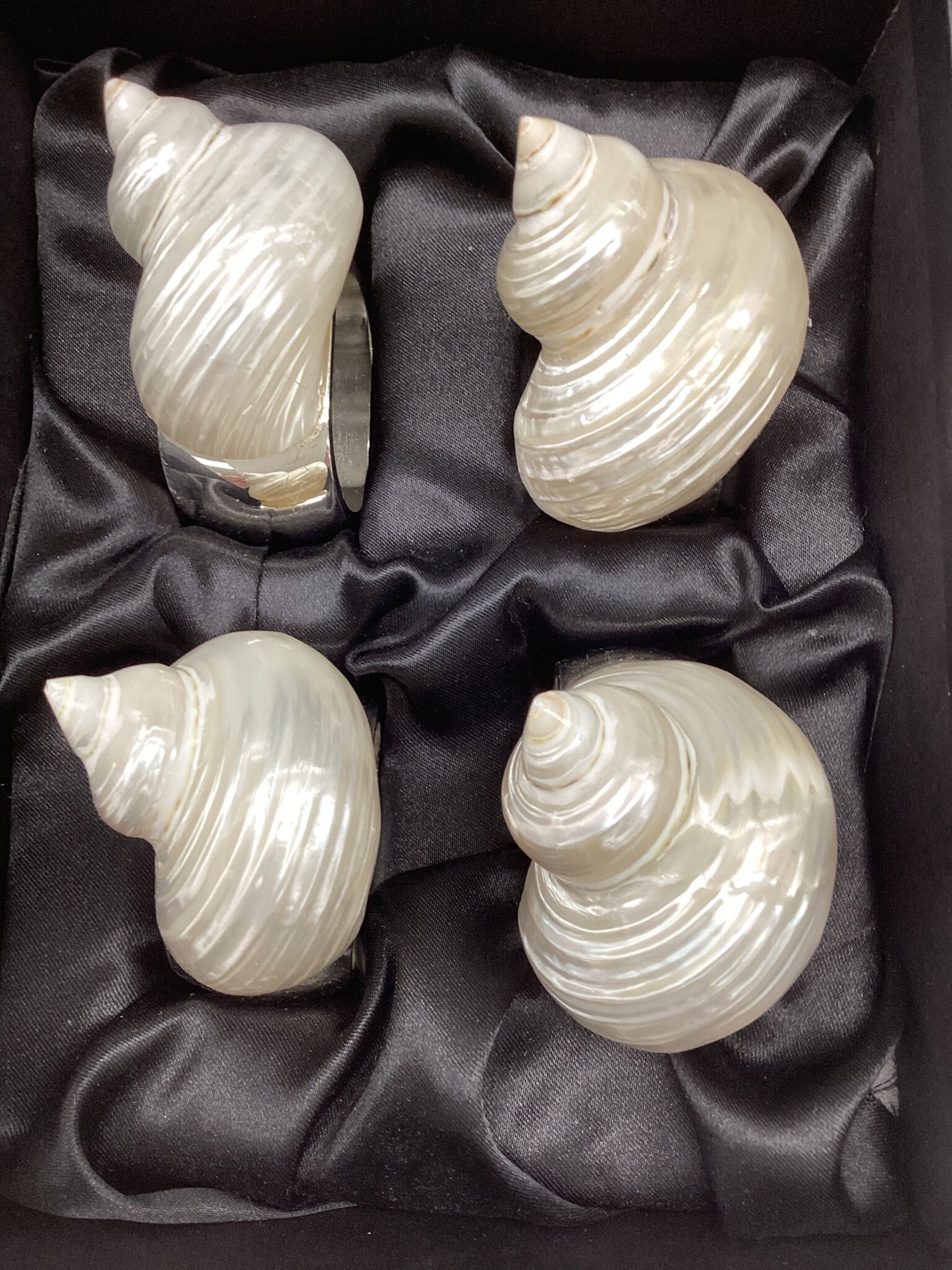Small Pearl Turbo Shell Napkin Ring Set/4