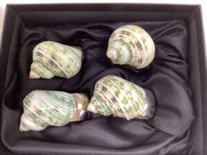 Small Jade Turbo Shell Napkin Rings Silver Band