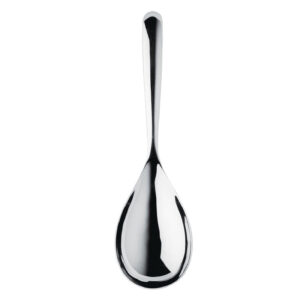 Signature Rice Serving Spoon