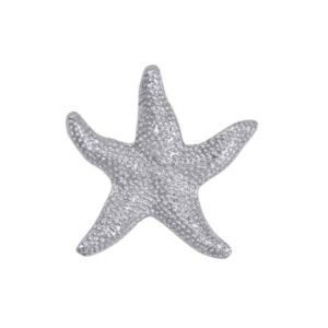 Starfish Napkin Weight