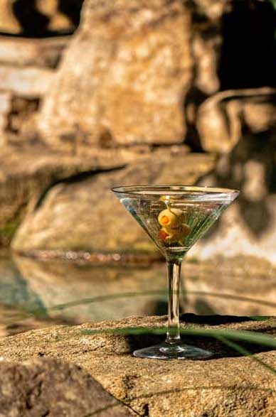 Martini Revel 10oz - Image 3