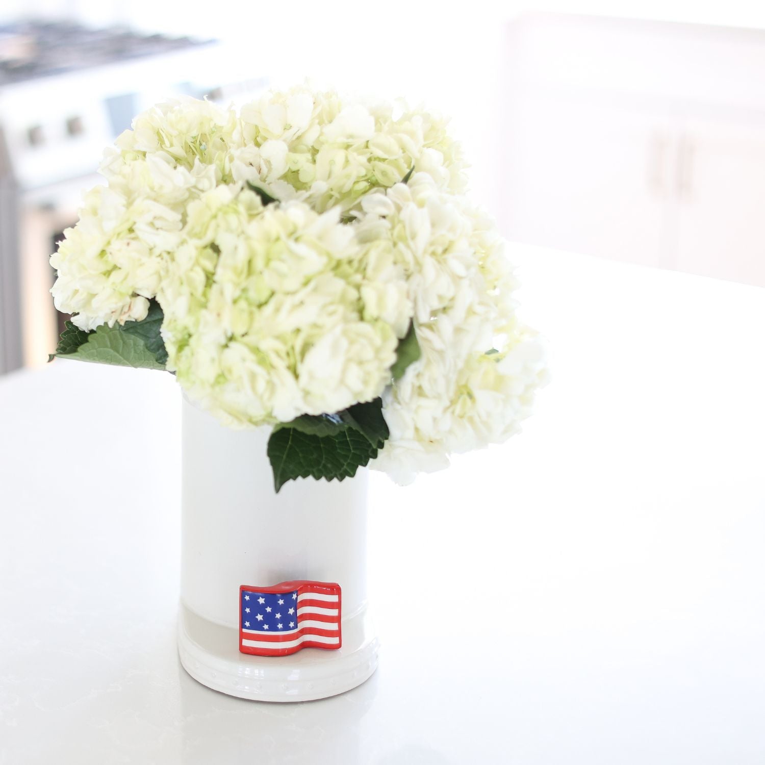 Stars and Stripes Forever Mini - Image 4